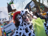 257 IMG 1395 Carnavalsoptocht 2015 DezeFoto : 2015, Adjudant, Anne, Deurningen, Jan, Prins, nettelkornkes, optocht