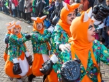 IMG 2198 Optocht Oldenzaal 2015 DezeFoto : 2015, Carnaval, oldenzaal, optocht