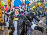 IMG 2409 Optocht Oldenzaal 2015 DezeFoto : 2015, Carnaval, oldenzaal, optocht