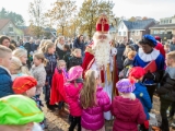 26 IMG 6778 Intocht Sint DezeFoto : 2016, Deurningen, intocht, sint, sinterklaas