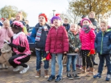 63 IMG 6845 Intocht Sint DezeFoto : 2016, Deurningen, intocht, sint, sinterklaas