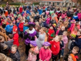 IMG 3367 Sint Deurningen 2015 DezeFoto : 2015, Deurningen, intocht, muziek, sinterklaas, spolhoes