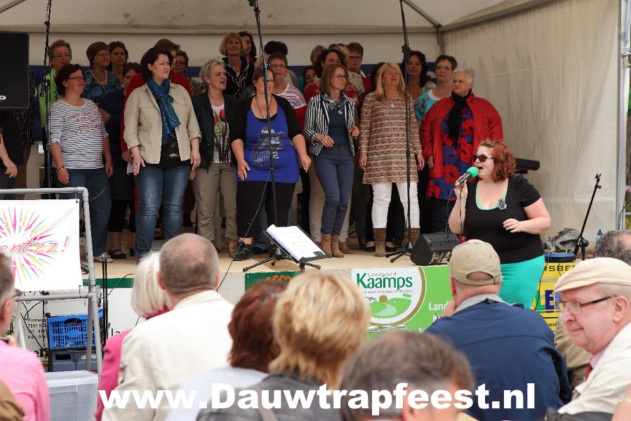 IMG 2363 DezeFoto