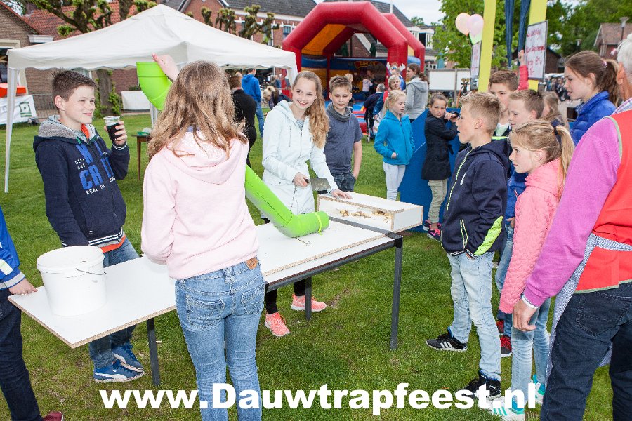 IMG 6866 Dauwtrapfeest 2015 DezeFoto