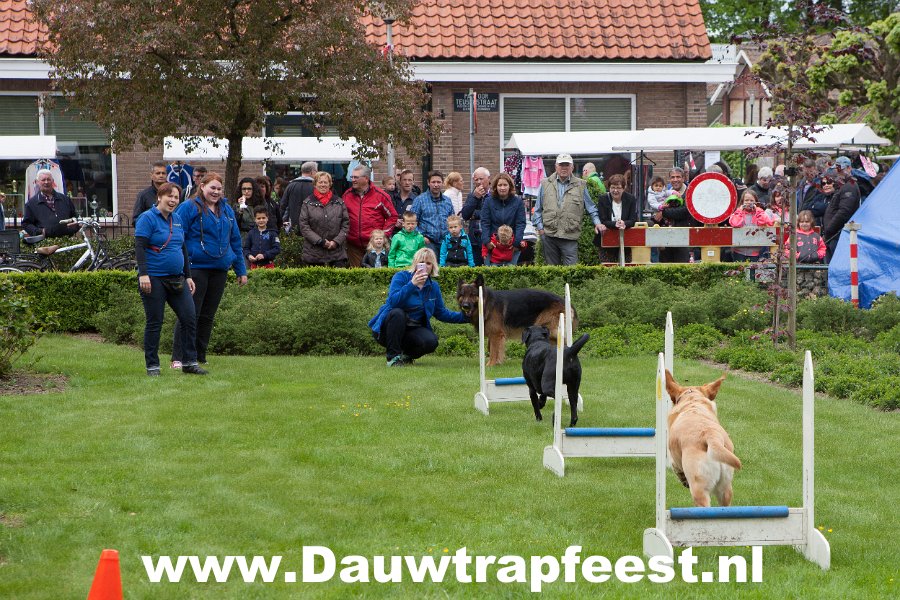 IMG 6981 Dauwtrapfeest 2015 DezeFoto