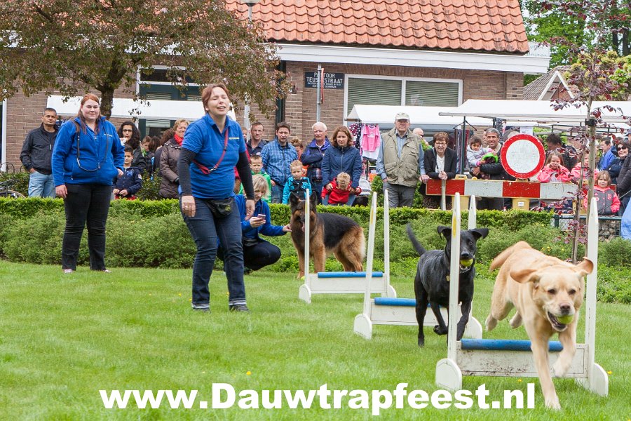 IMG 6983 Dauwtrapfeest 2015 DezeFoto