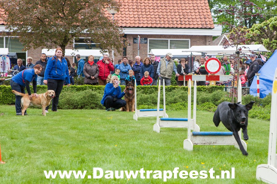 IMG 6986 Dauwtrapfeest 2015 DezeFoto