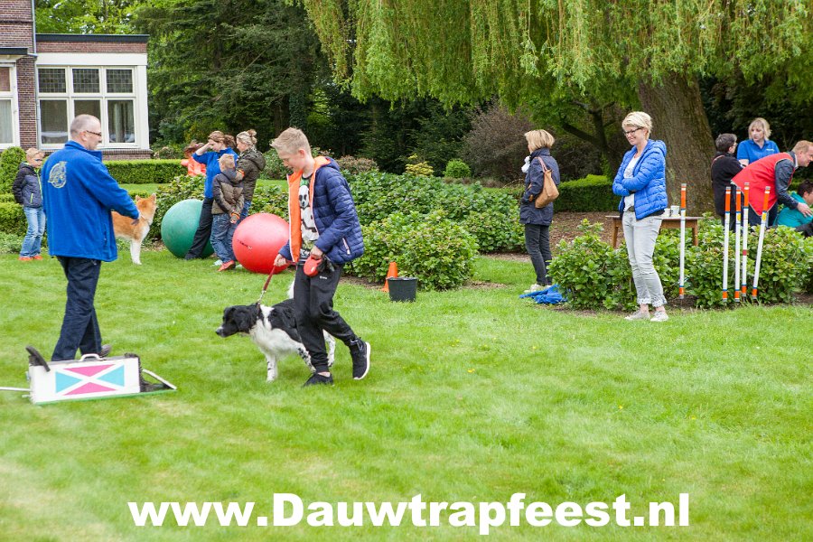 IMG 7005 Dauwtrapfeest 2015 DezeFoto