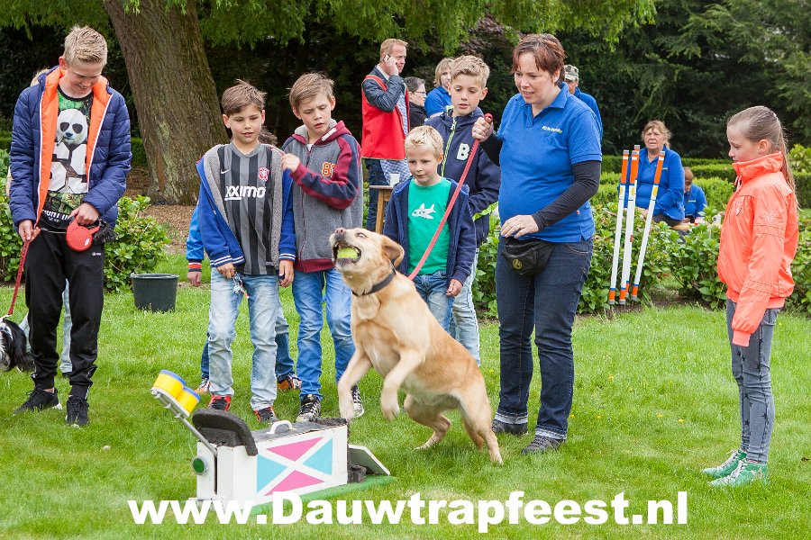 IMG 7008 Dauwtrapfeest 2015 DezeFoto