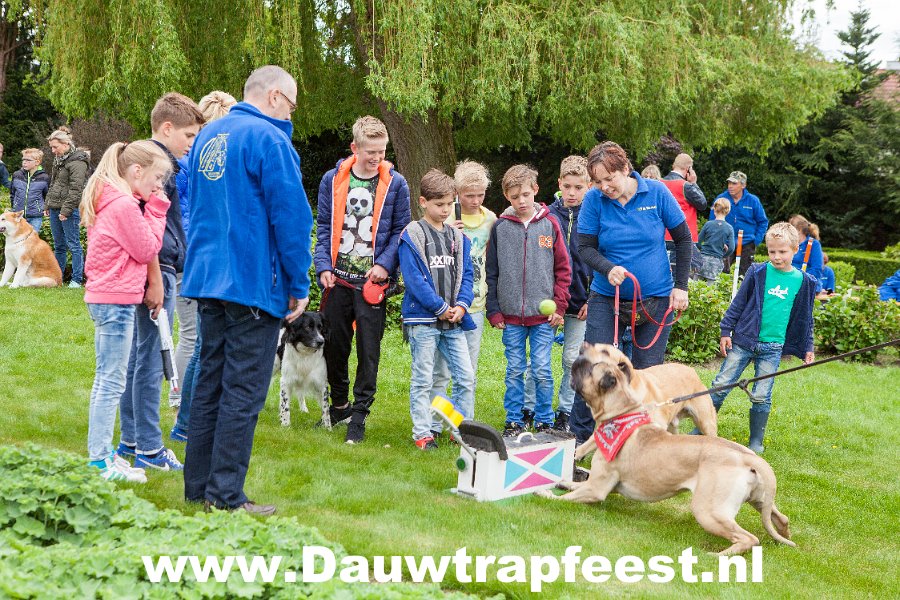 IMG 7010 Dauwtrapfeest 2015 DezeFoto