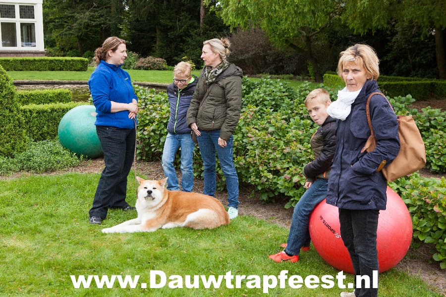 IMG 7015 Dauwtrapfeest 2015 DezeFoto